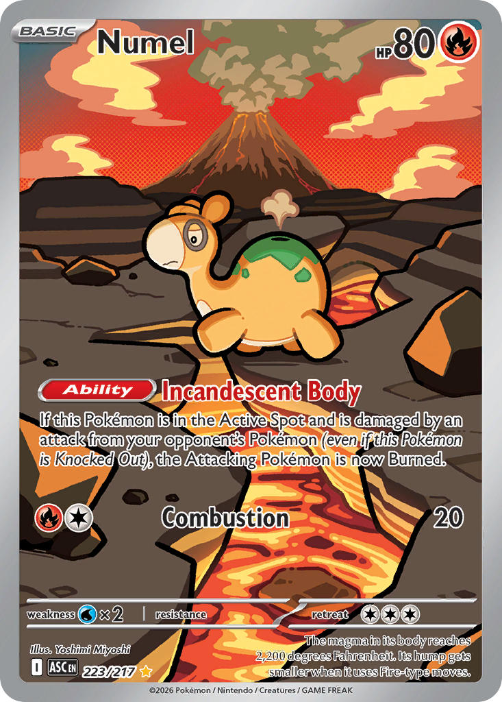 Numel