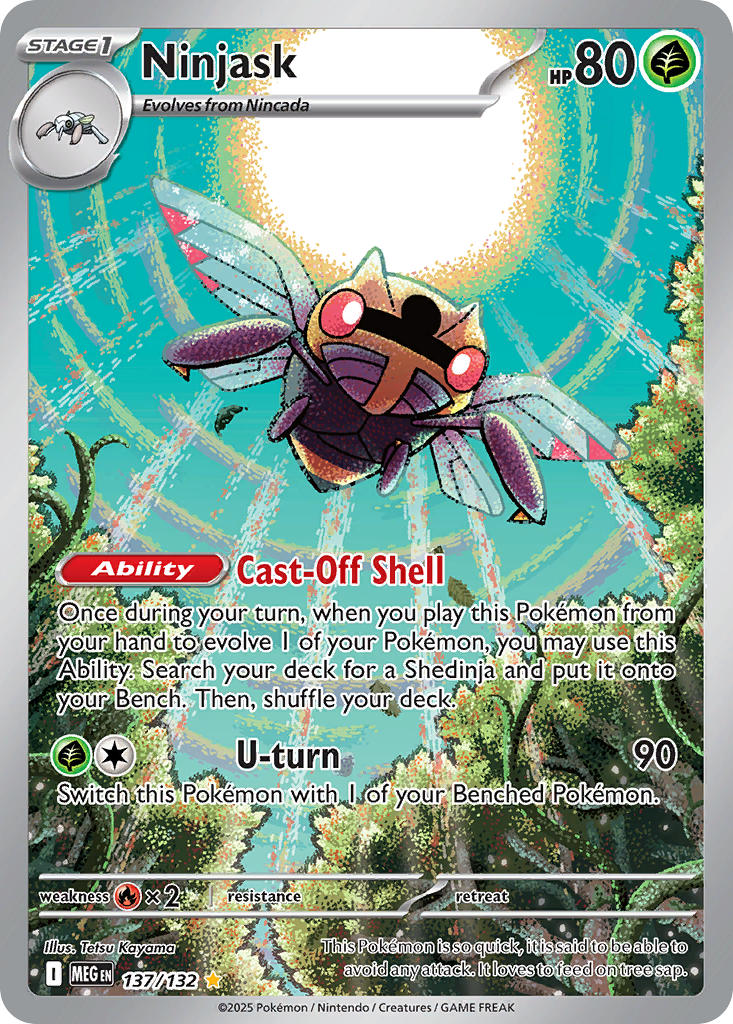 Ninjask
