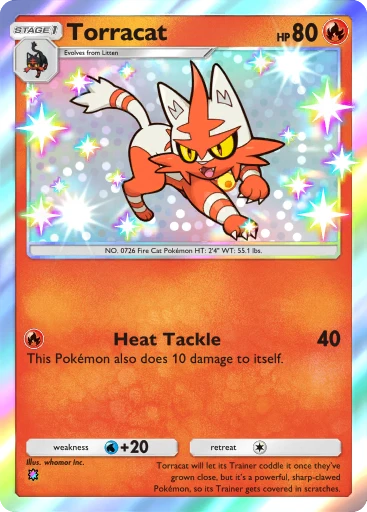 Torracat