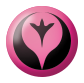Fairy energy